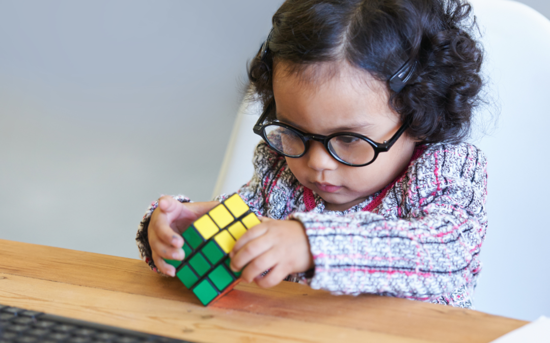 12 Éléments de compréhension générale sur l’œil