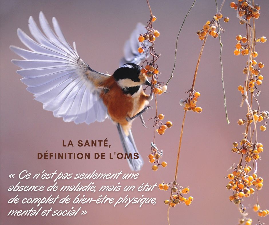 Dr Florence Kling, Médecin spécialiste en ophtalmologie